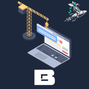 تصميم موقع فئة B