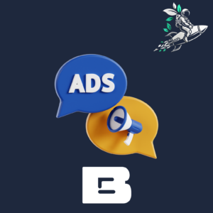 ادارة حملات اعلانية فئة B